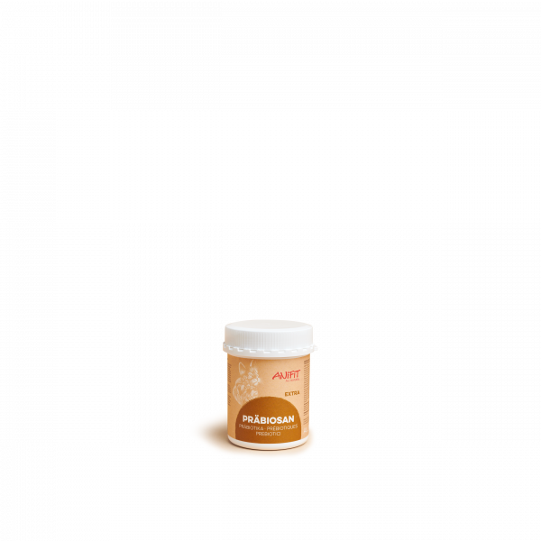 Präbiotika für Hunde und Katzen